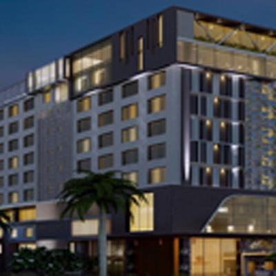 گولدن تولیپ وستلاندز نیربی