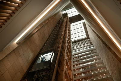 کورتیارد اسئوول نامدامون