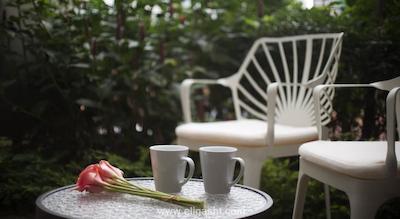 وی هتل بنکولن