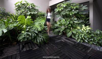 وی هتل بنکولن