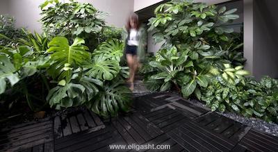 وی هتل بنکولن