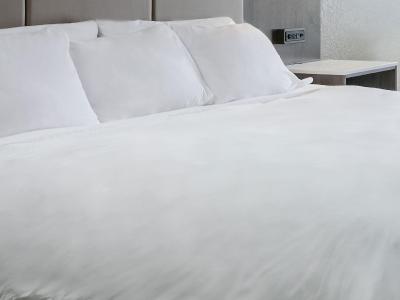 رادیسن ادمیرال ترنتو هاربورفرنت