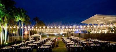 اسکیسیتی داروین