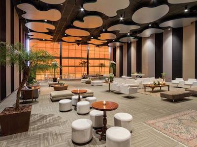 ریال تولیپ براسیلیا آلورادا