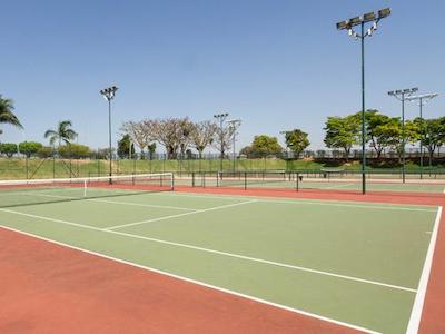 ریال تولیپ براسیلیا آلورادا