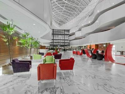 ریال تولیپ براسیلیا آلورادا