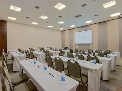 ریال تولیپ براسیلیا آلورادا