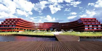 ریال تولیپ براسیلیا آلورادا