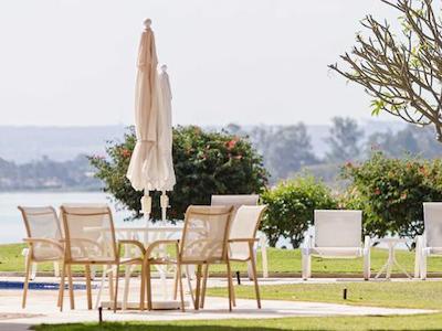 ریال تولیپ براسیلیا آلورادا