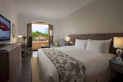 اورچارد پاراده رندزوس