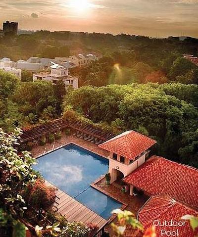 اورچارد پاراده رندزوس