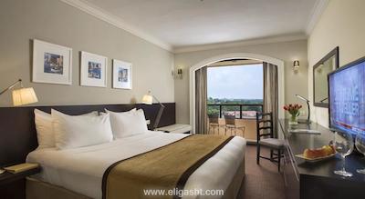 اورچارد پاراده رندزوس