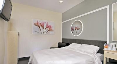 ولیو بالستیر