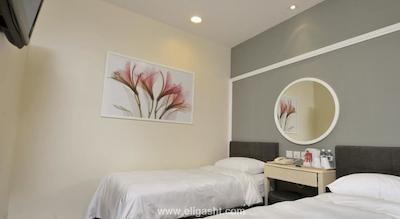 ولیو بالستیر