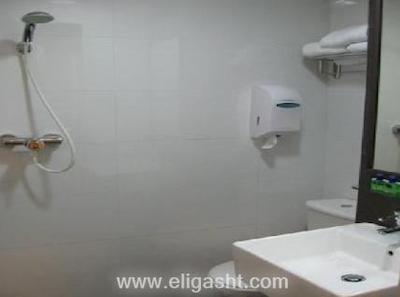 ولیو بالستیر