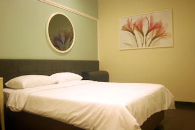 ولیو بالستیر