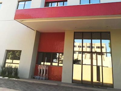 ایبیز استیلز پالماز