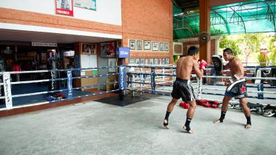 فیرتکس اکسپرس