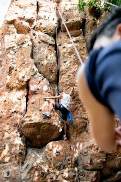 فیرتکس اکسپرس