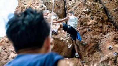 فیرتکس اکسپرس