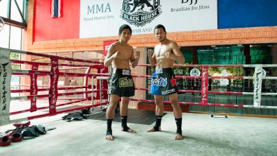 فیرتکس اکسپرس