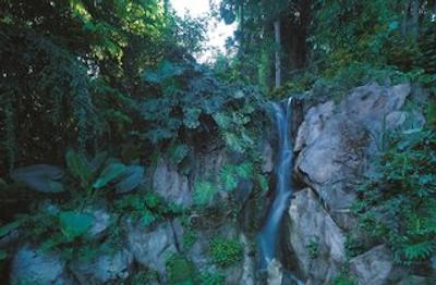 شانگری-لاس راسا سنتوسا ریزورت