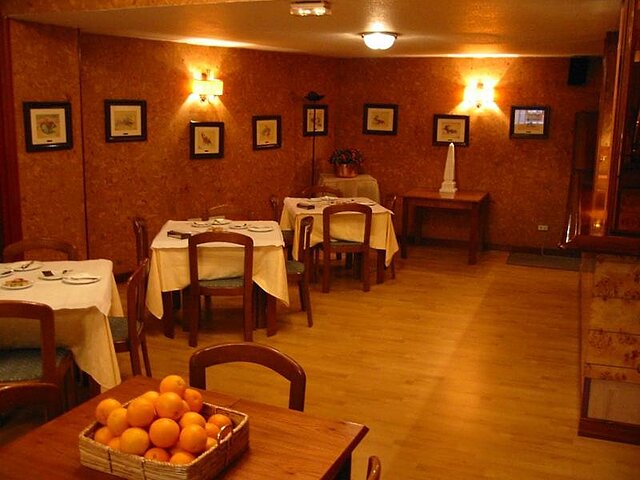 ویستا آلگر