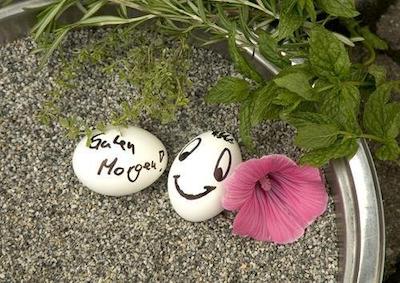 رینگهتل جنسن