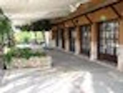 بونگالوز پاپالوز