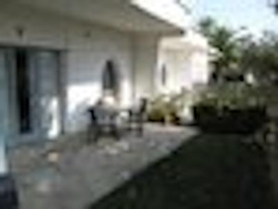 بونگالوز پاپالوز