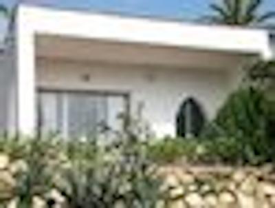 بونگالوز پاپالوز