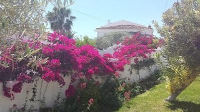 ال کاپیسترانو سور