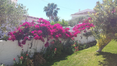 ال کاپیسترانو سور