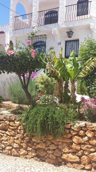 ال کاپیسترانو سور