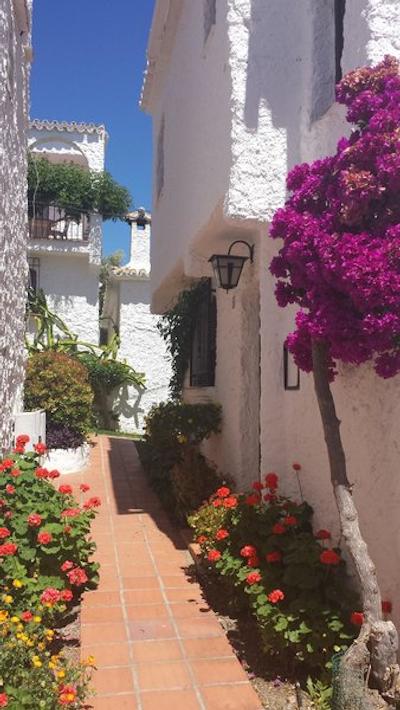 ال کاپیسترانو سور