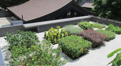 رامادا سنگاپور ات ژونگشان پارک