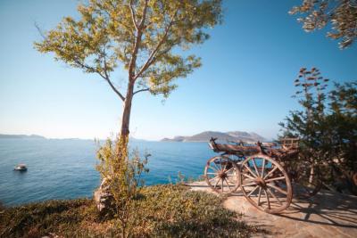 ویلا تامارا