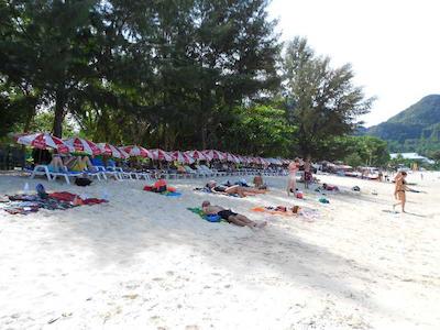 فی فی چارلی بیچ ریزرت