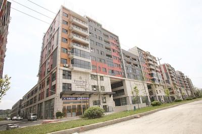 چنگدو تولیپ این آیرپرت هتل