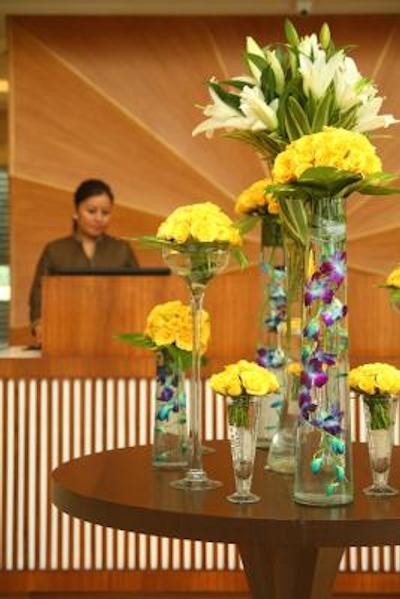 امیا سوئیتز