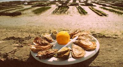 هتل د لاب رلیز دو سیلنس