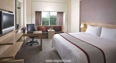 پارک رویال آن بیچ رود