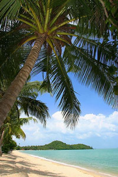 بو فوت ریزرت اند اسپا