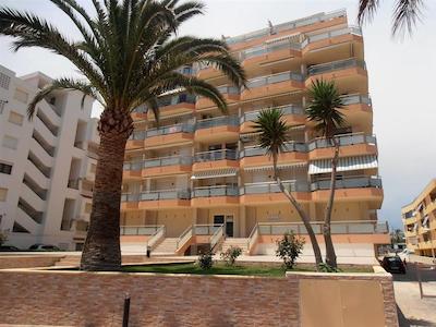 اپارتامنتز سورفینگ 3000