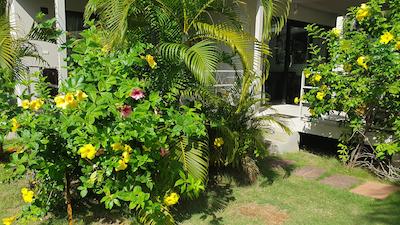 ککنوتسپالم ریزرت