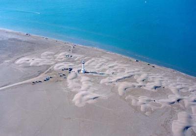 اپاردتل اکدوناز