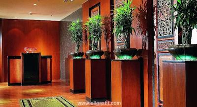 اورچارد هتل سنگاپور