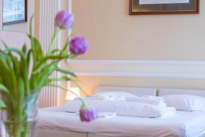 اروم هتل آن کیتی گورود