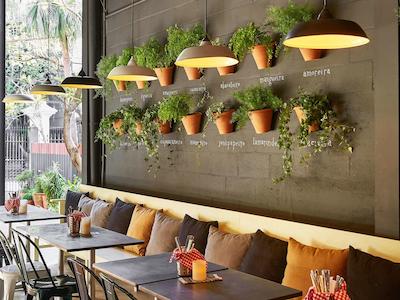 ماما شلتر ریو د جانیرو