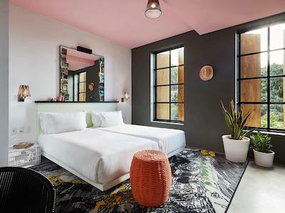 ماما شلتر ریو د جانیرو